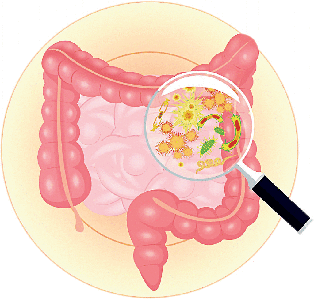 Što je crijevni mikrobiom i kakva mu je uloga u našem organizmu