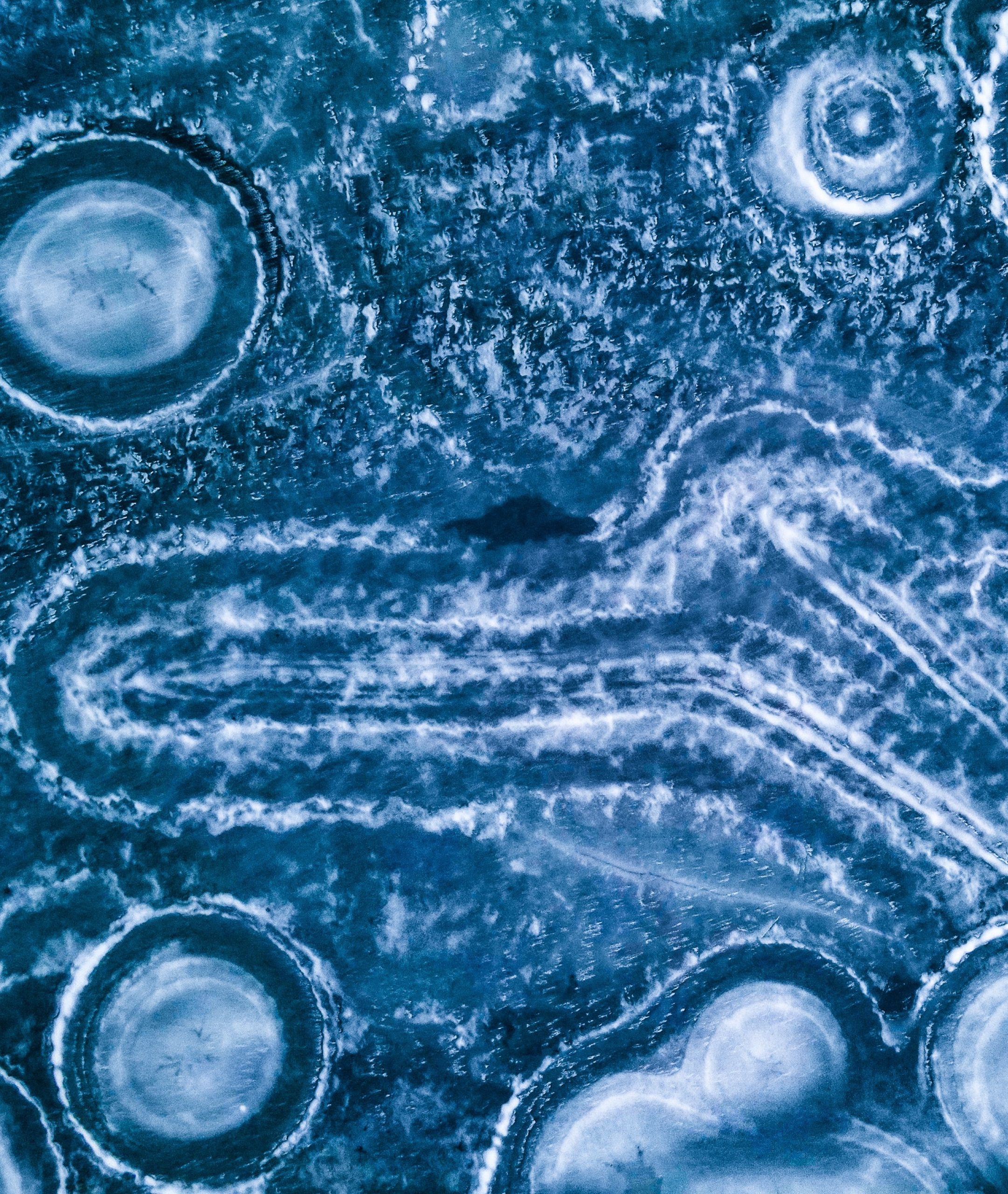 mitohondrijska medicina 5 elemenata
